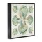 Stupell Industries Saltwashed Shells Symmetry Framed Giclee, design by June Erica Vess